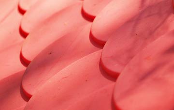 Conogher plastic roof costs